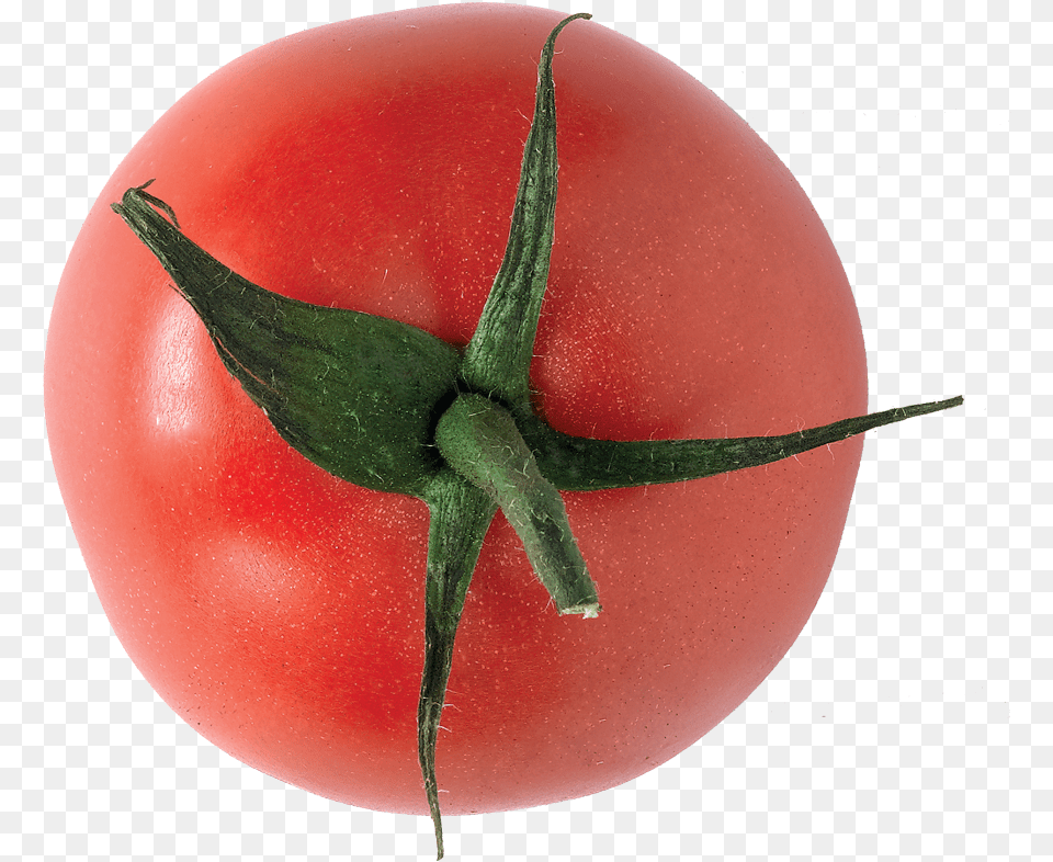 Tomate Plum Tomato, Vegetable, Food, Produce, Plant Free Png