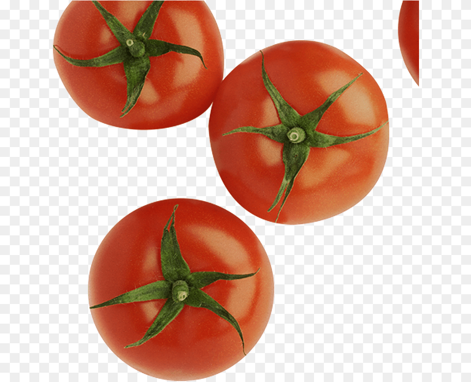 Tomates Desde Arriba Hd Cosecha De Tomate En Puerto Rico, Food, Plant, Produce, Tomato Free Transparent Png
