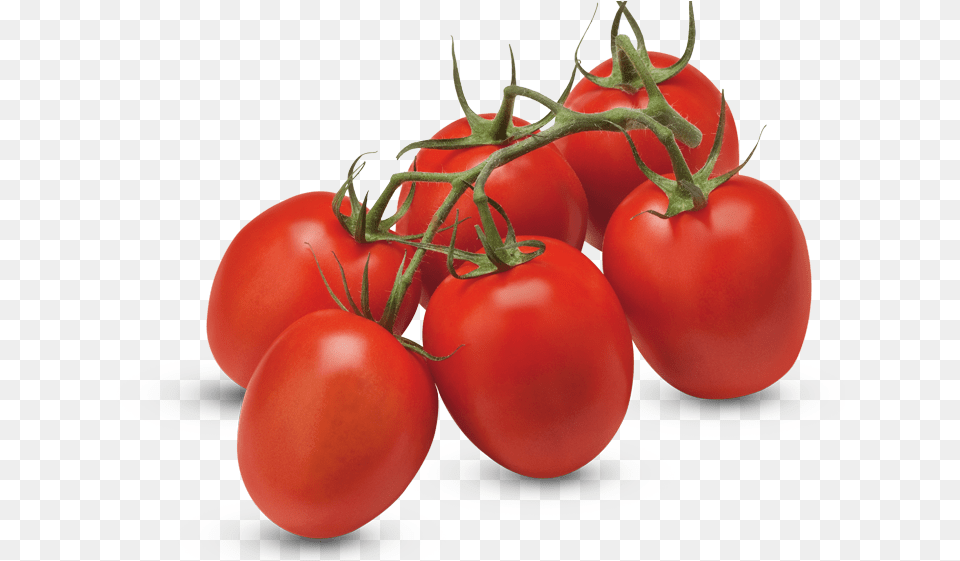 Tomates Prune En Grappe Tomato Ketchup Manufacturers In India, Food, Plant, Produce, Vegetable Png Image