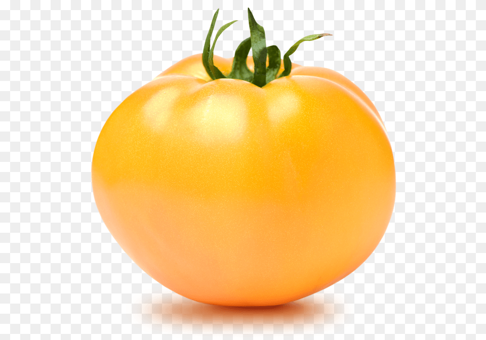 Tomato 1 Gold Tomato, Food, Plant, Produce, Vegetable Png Image
