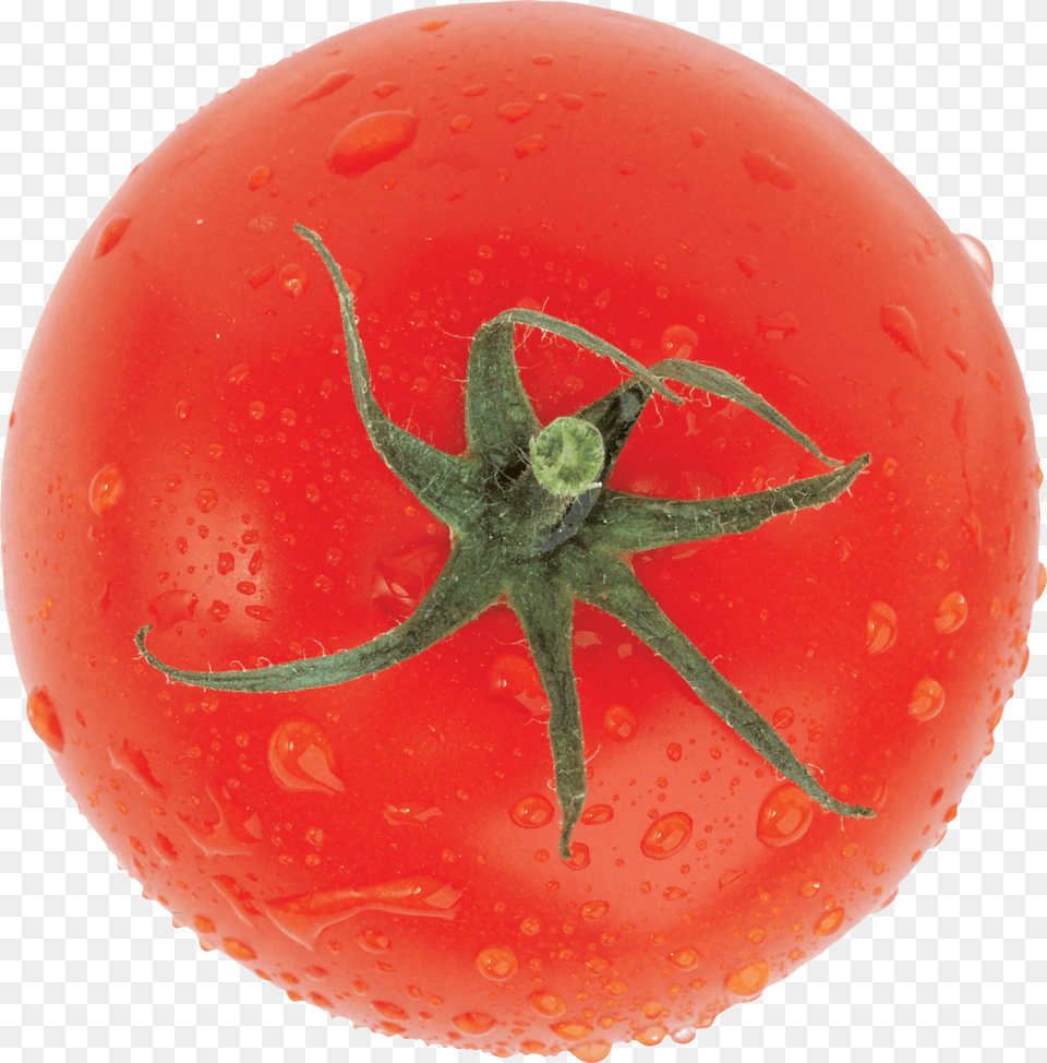 Tomato Free Png Download