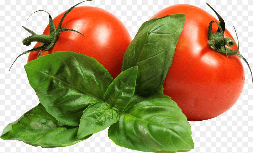 Tomato Free Png Download