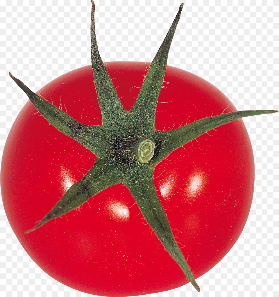 Tomato, Food, Plant, Produce, Vegetable Free Transparent Png