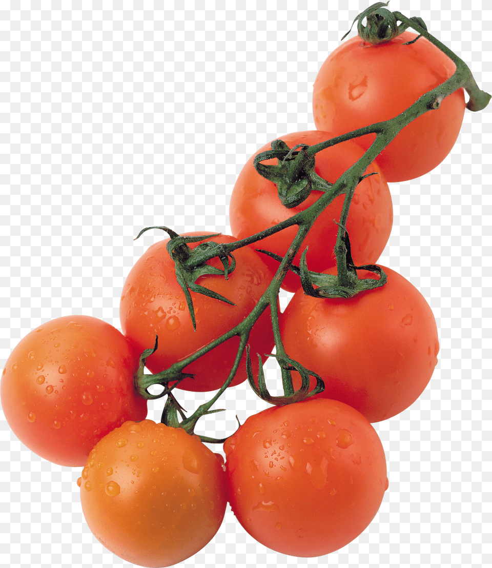 Tomato Free Png