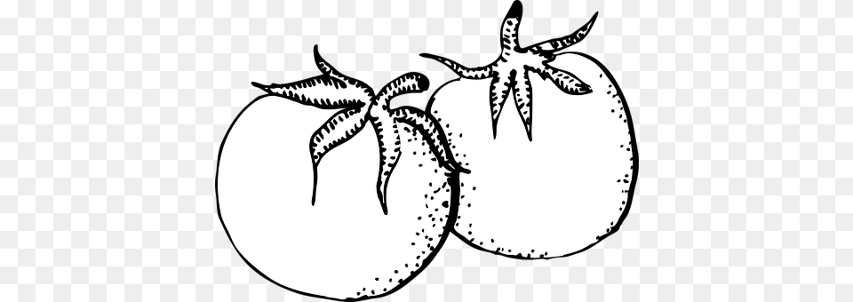 Tomato Stencil, Food, Fruit, Plant Png Image