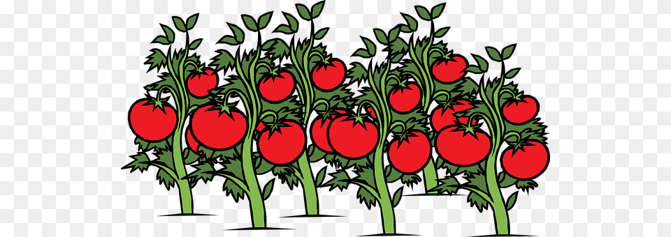 Tomato Art, Floral Design, Graphics, Pattern Png