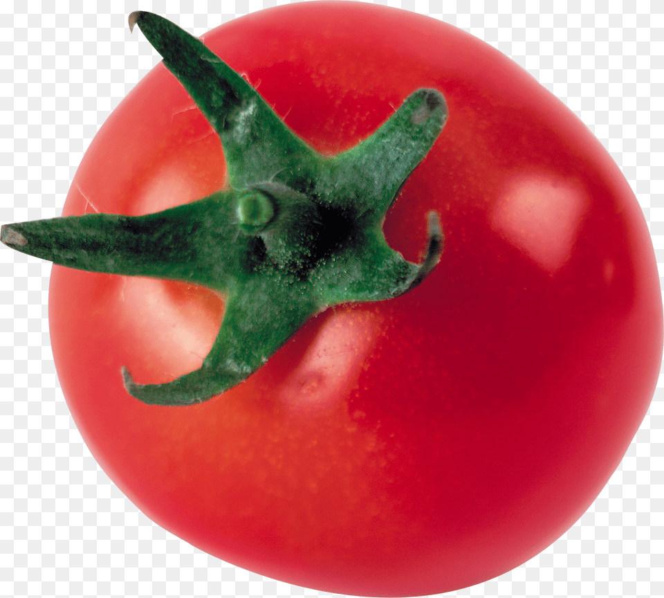 Tomato, Food, Plant, Produce, Vegetable Free Png Download