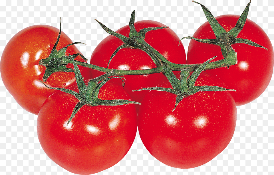 Tomato, Food, Plant, Produce, Vegetable Free Png