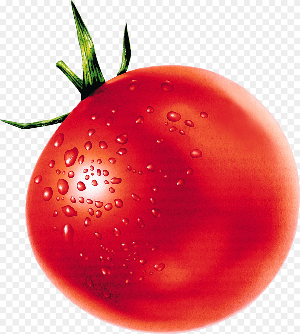 Tomato, Food, Plant, Produce, Vegetable Png Image