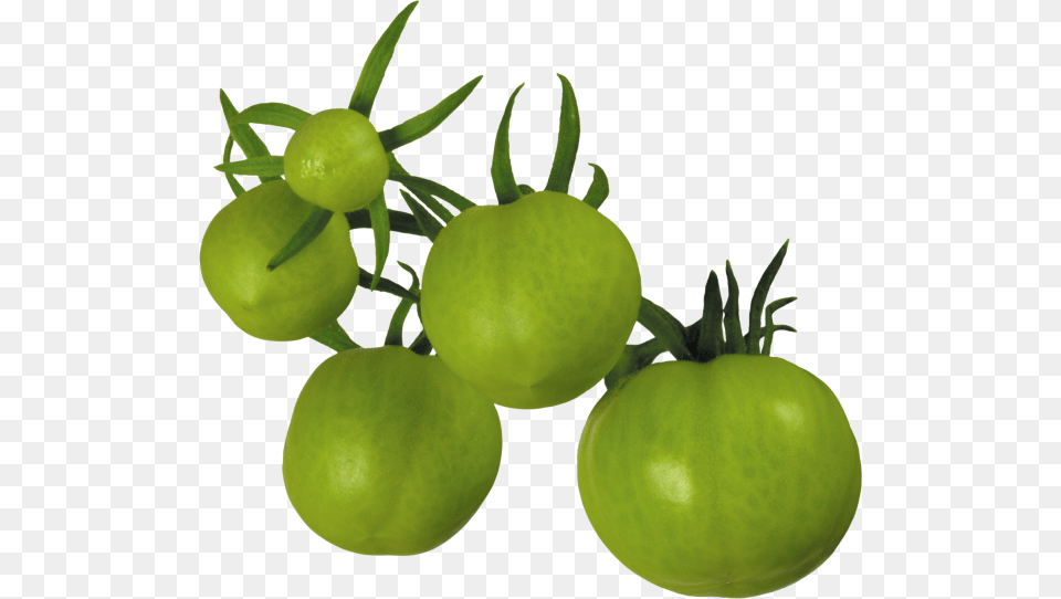 Tomato, Food, Plant, Produce, Vegetable Free Png