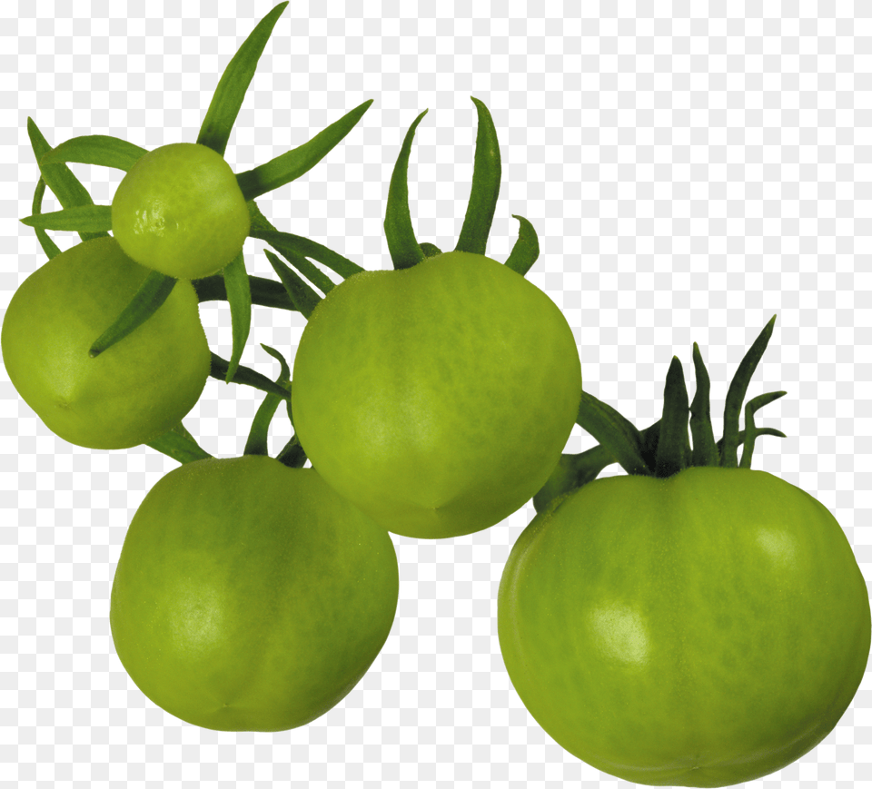 Tomato Png Image