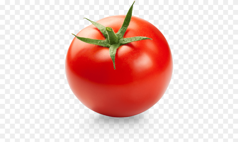 Tomato, Vegetable, Food, Produce, Plant Png Image