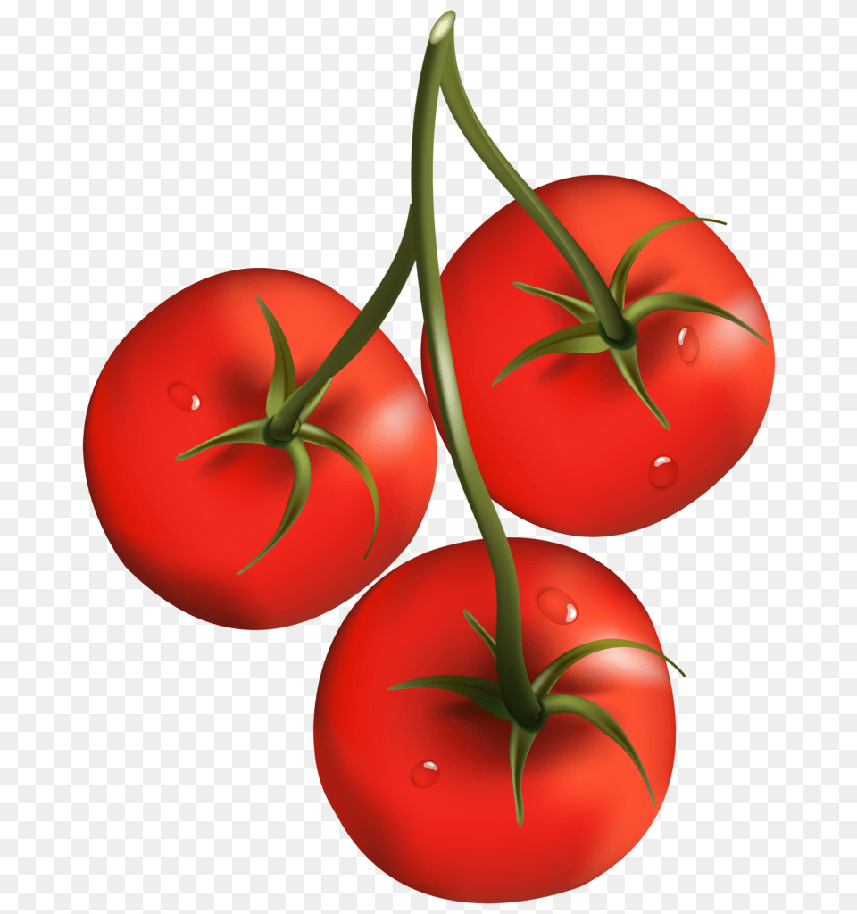 Tomato Branch Clipart Clip Art, Food, Plant, Produce, Vegetable Free Png