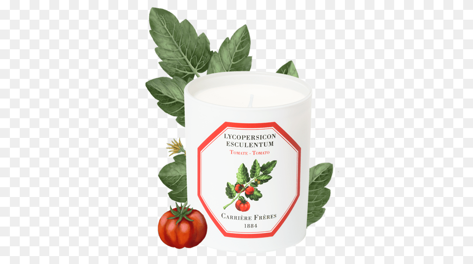 Tomato Carriere Freres Tomato, Leaf, Plant, Herbal, Herbs Png Image