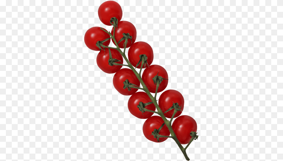 Tomato Cherry Tomatoes, Food, Plant, Produce, Vegetable Free Png Download