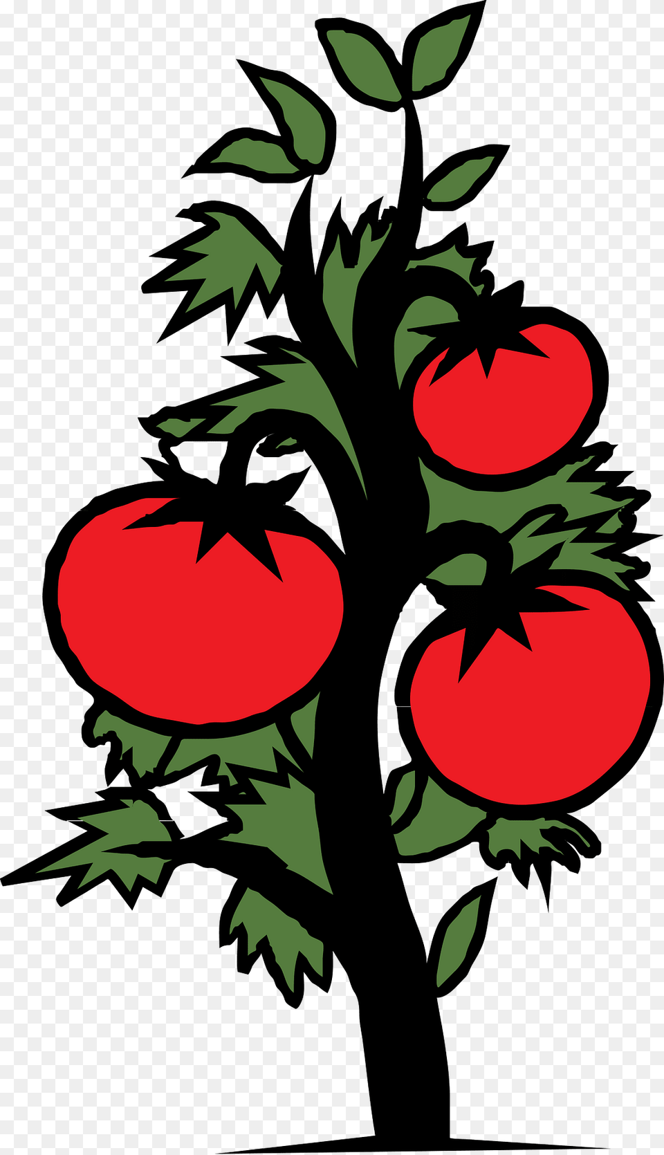 Tomato Clipart, Person, Food, Plant, Produce Free Png