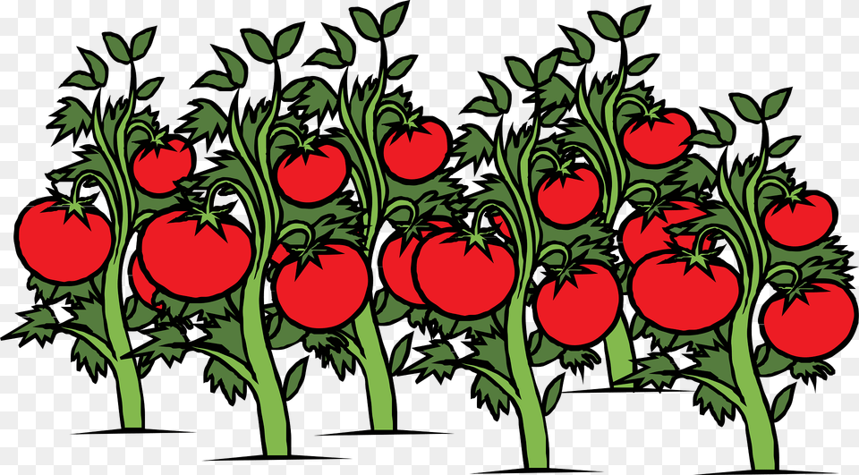 Tomato Clipart, Art, Graphics, Pattern, Floral Design Free Png Download