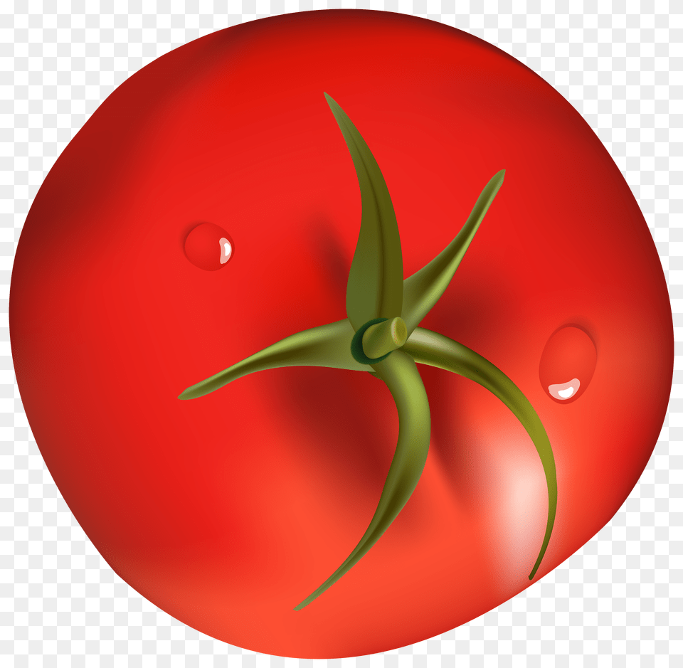 Tomato Clipart, Food, Plant, Produce, Vegetable Png