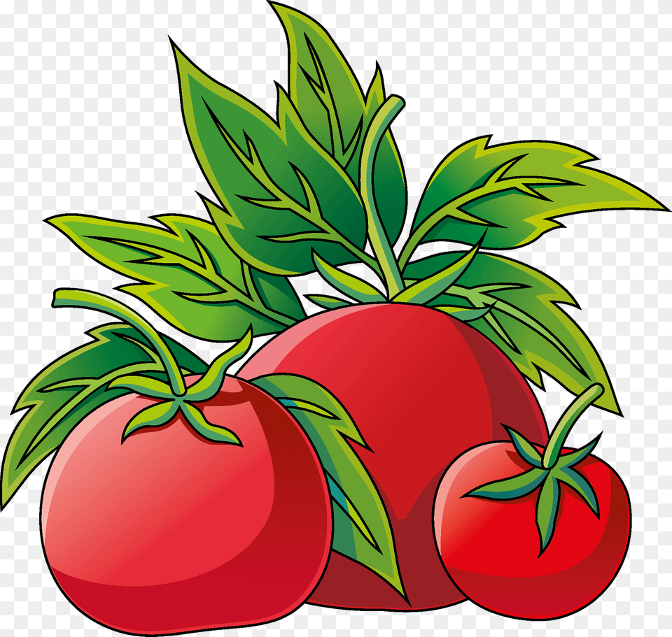 Tomato Clipart, Food, Fruit, Plant, Produce Png Image
