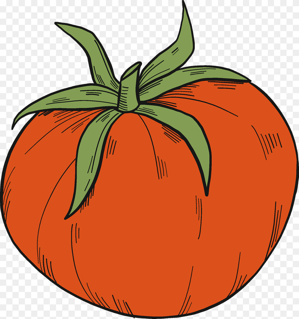 Tomato Clipart, Food, Plant, Produce, Vegetable Png