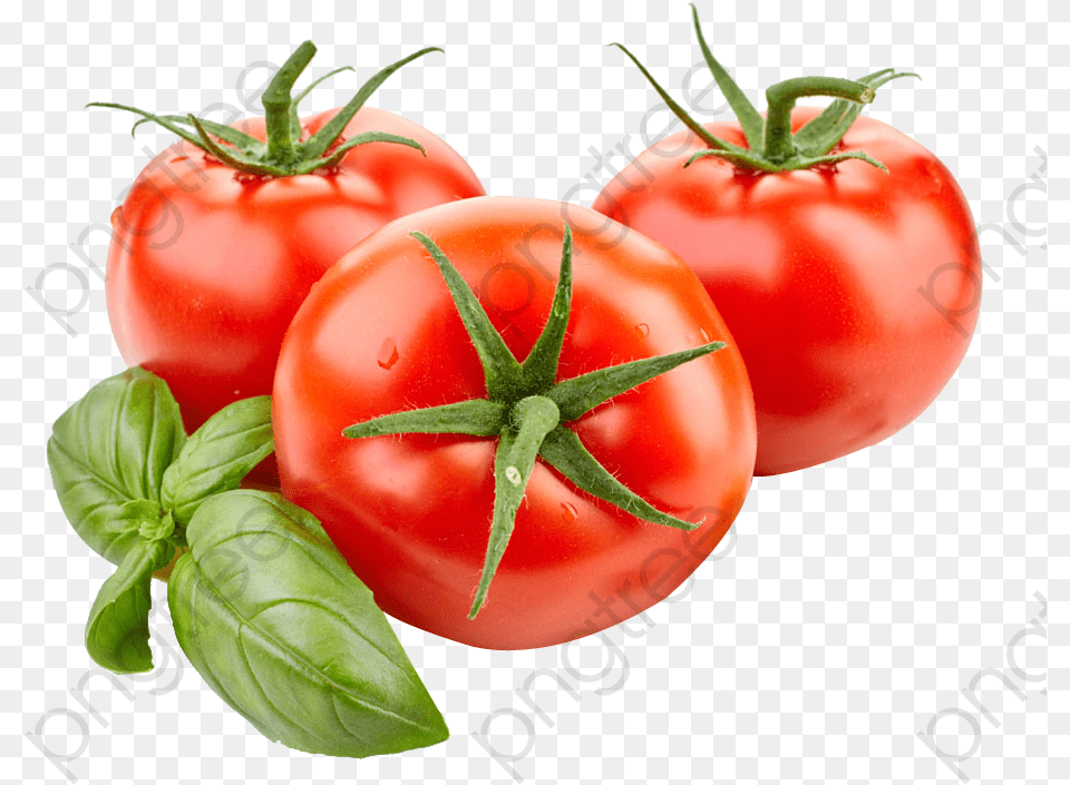Tomato Clipart Cut Tomato, Food, Plant, Produce, Vegetable Png