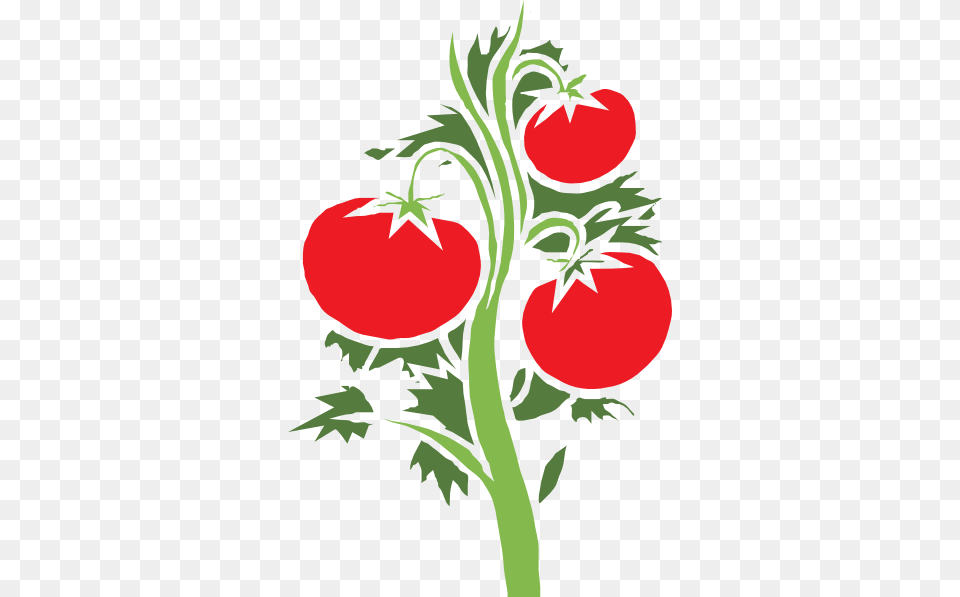 Tomato Clipart Small Plant, Art, Food, Graphics, Produce Free Png Download