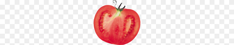 Tomato Download, Food, Plant, Produce, Vegetable Png