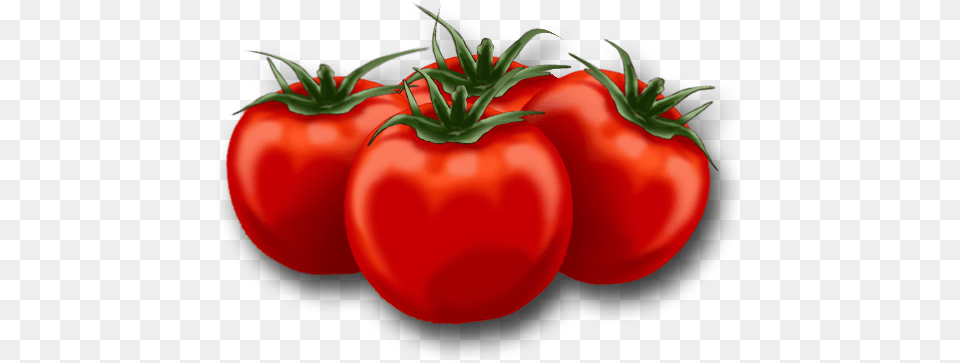 Tomato Download Animated Pics Of Tomato, Food, Plant, Produce, Vegetable Free Png