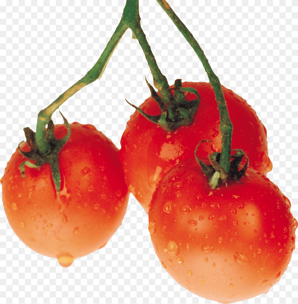Tomato Download, Food, Plant, Produce, Vegetable Free Transparent Png