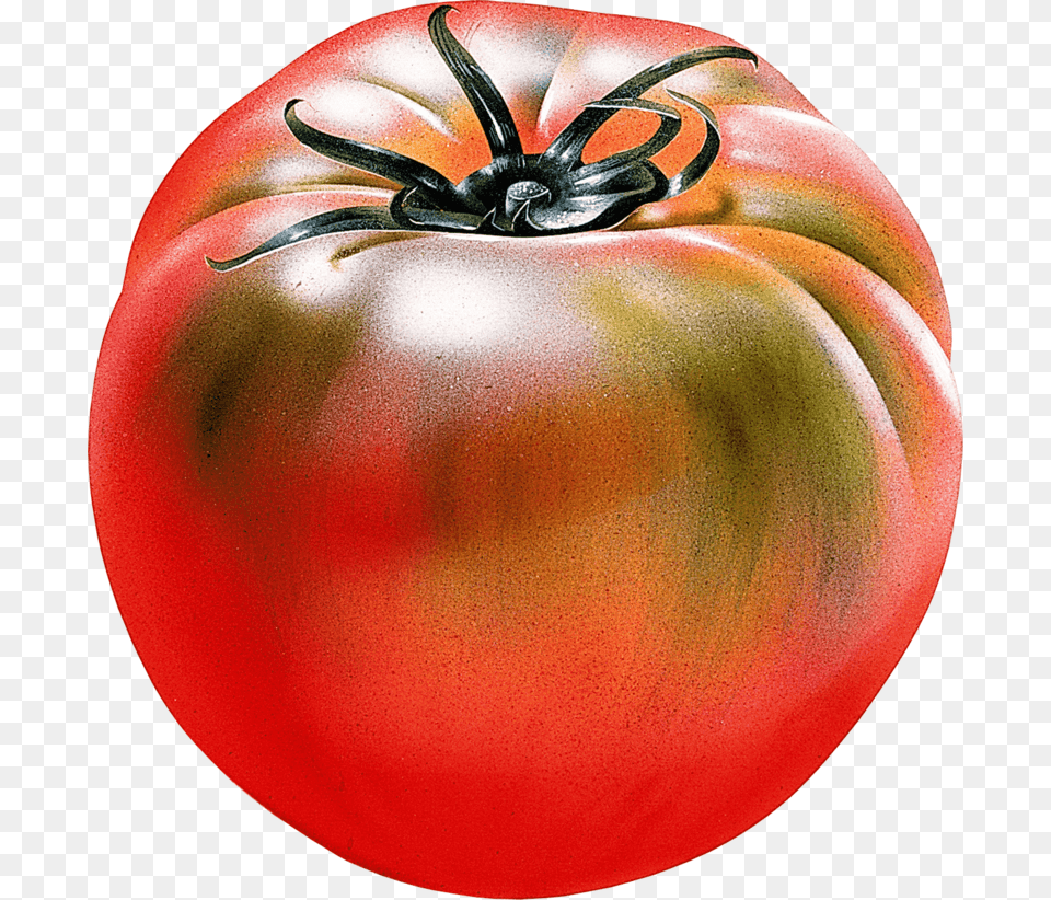 Tomato Download, Food, Plant, Produce, Vegetable Free Png