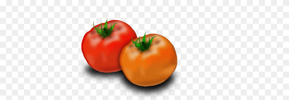 Tomato Fruit Solanum Lycopersicum Nutritio Buah Tomat, Food, Plant, Produce, Vegetable Free Png Download