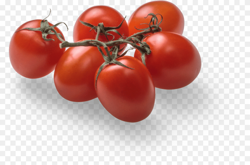 Tomato Graphic Asset Plum Tomato, Food, Plant, Produce, Vegetable Png Image