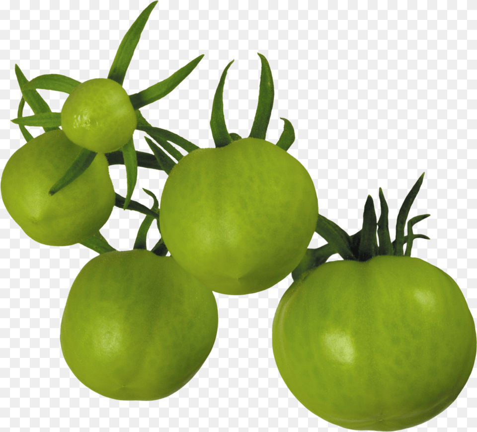 Tomato Green Tomato, Food, Plant, Produce, Vegetable Free Png Download