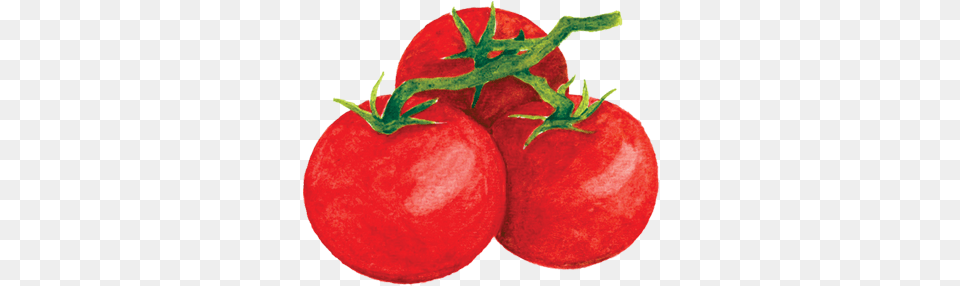 Tomato Harvest Tomatoes, Food, Plant, Produce, Vegetable Png