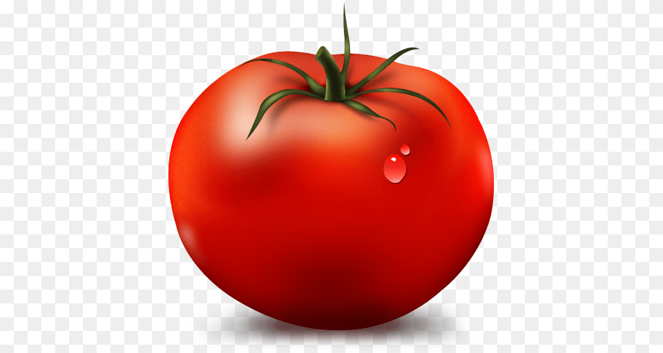 Tomato Icon, Food, Plant, Produce, Vegetable Png Image