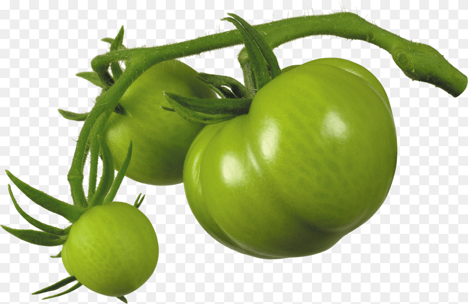 Tomato Png Image