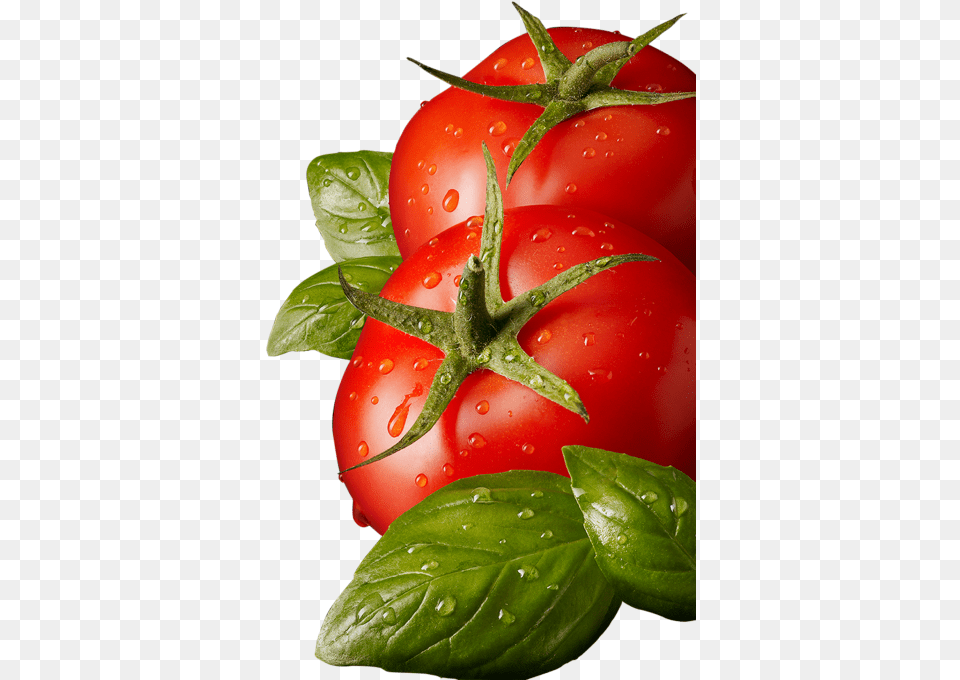 Tomato Leaves, Food, Plant, Produce, Vegetable Free Transparent Png