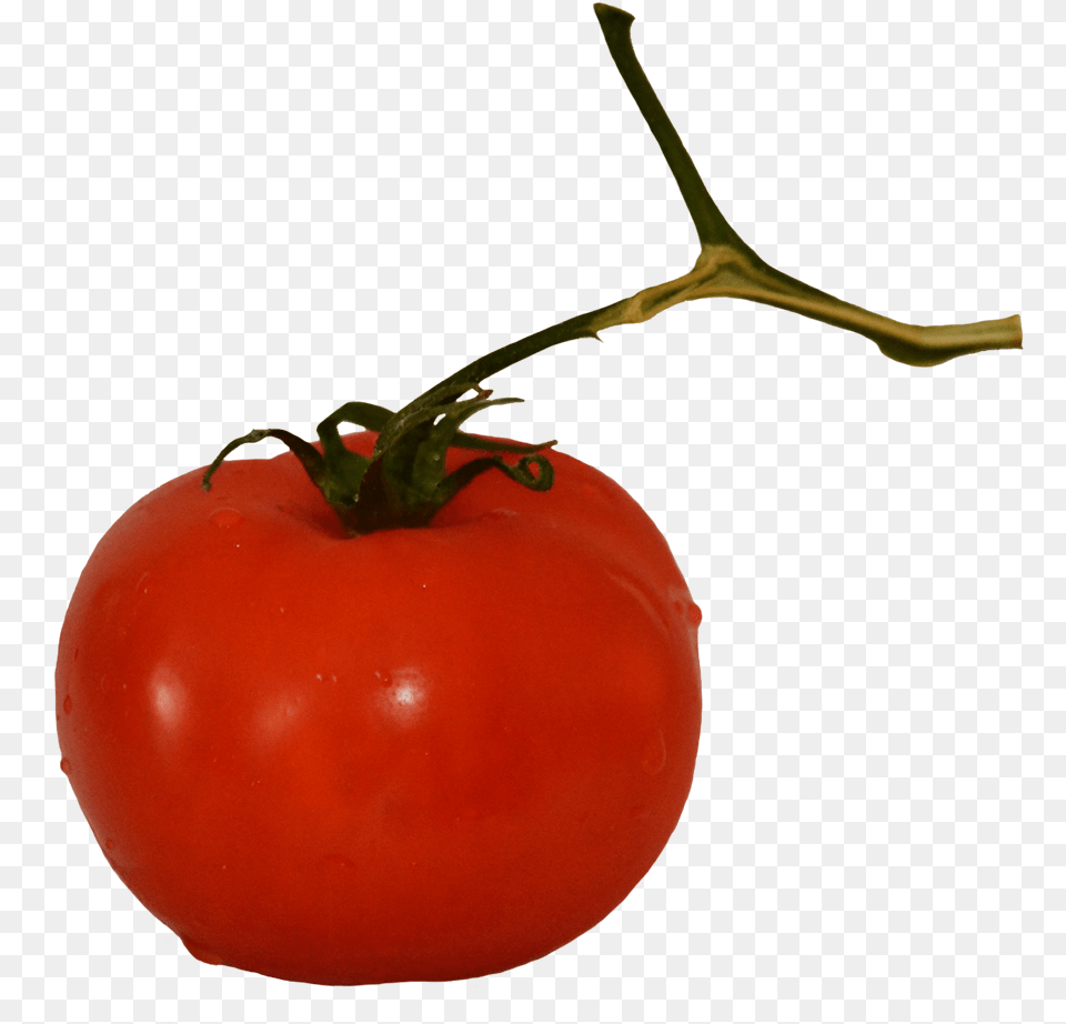 Tomato On Stem Plum Tomato, Food, Plant, Produce, Vegetable Png