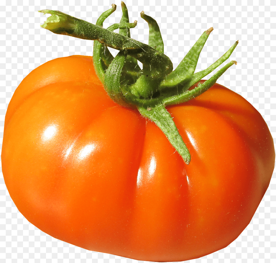 Tomato Organic Fresh Picture Plum Tomato, Food, Plant, Produce, Vegetable Free Png Download