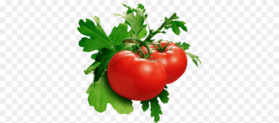 Tomato Pic Phytoene And Phytofluene, Food, Plant, Produce, Vegetable Png Image