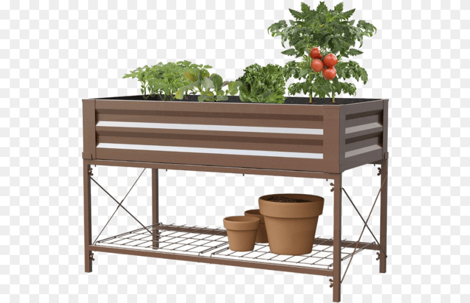 Tomato Plant, Jar, Planter, Potted Plant, Pottery Png Image