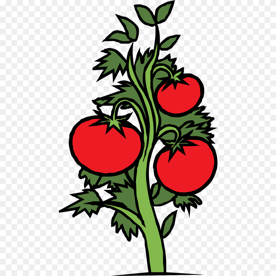 Tomato Plant Clip Art Clipartfest, Graphics, Floral Design, Pattern, Person Png