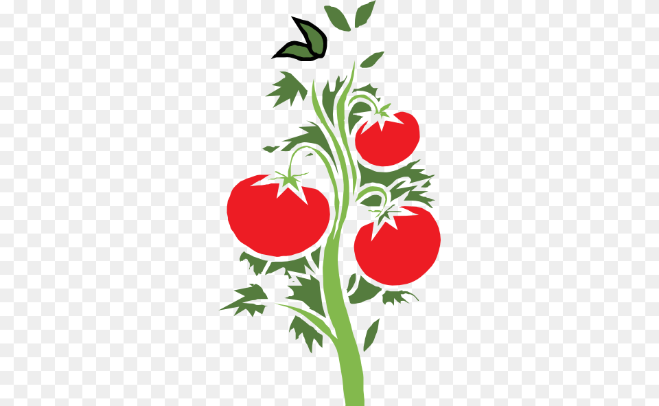 Tomato Plant Clip Arts For Web, Art, Graphics, Pattern, Floral Design Free Png Download