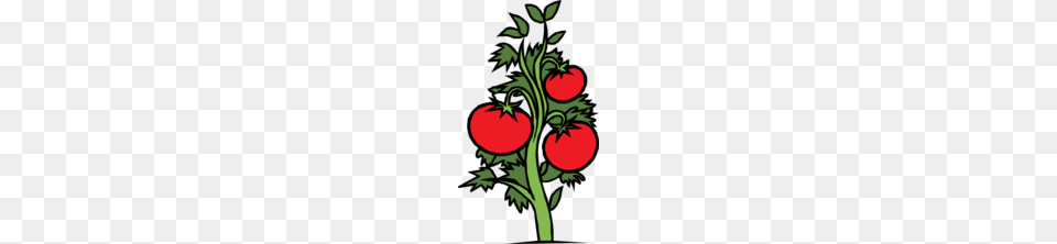Tomato Plant Clipart, Art, Graphics, Food, Produce Free Transparent Png