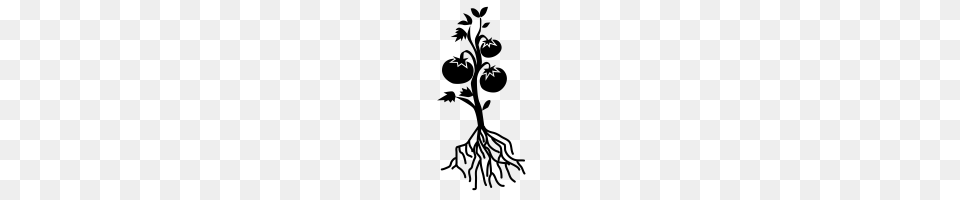 Tomato Plant Icons Noun Project, Gray Png Image