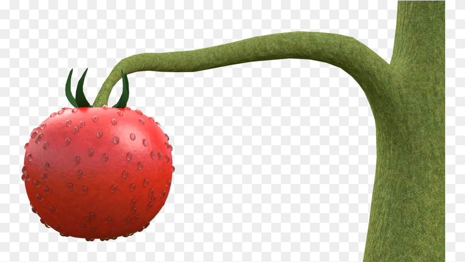 Tomato Plant Strawberry, Food, Fruit, Produce, Berry Free Transparent Png