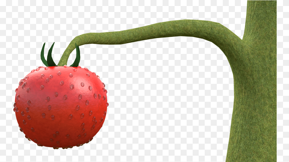 Tomato Plant Wip Strawberry, Food, Fruit, Produce, Berry Png Image