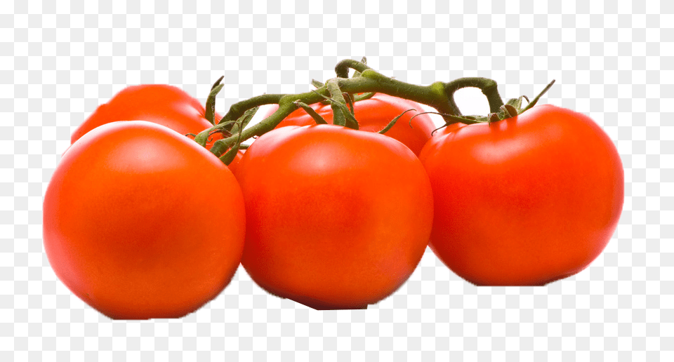 Tomato Play, Food, Plant, Produce, Vegetable Free Transparent Png