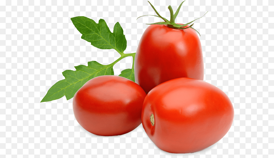 Tomato Roma Roma Tomato Food, Plant, Produce, Vegetable Free Transparent Png