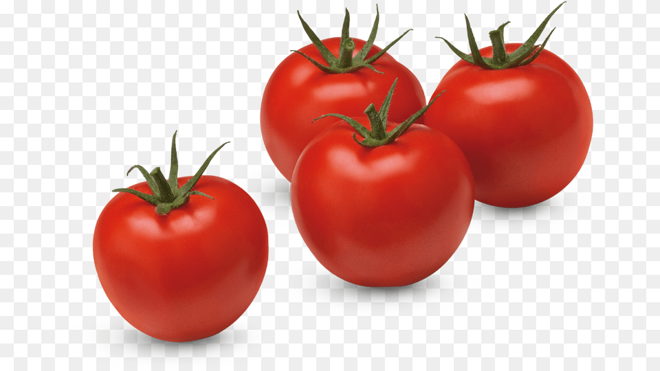 Tomato Round, Food, Plant, Produce, Vegetable Free Png Download